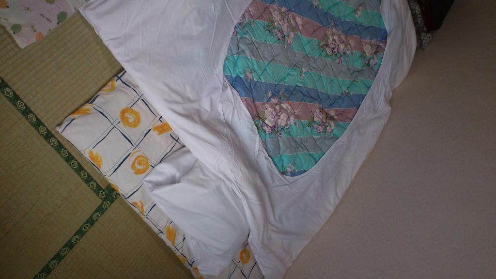 New Hakuginso Hotel Furano Ruang foto